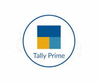 Tally Single User - 3 Months